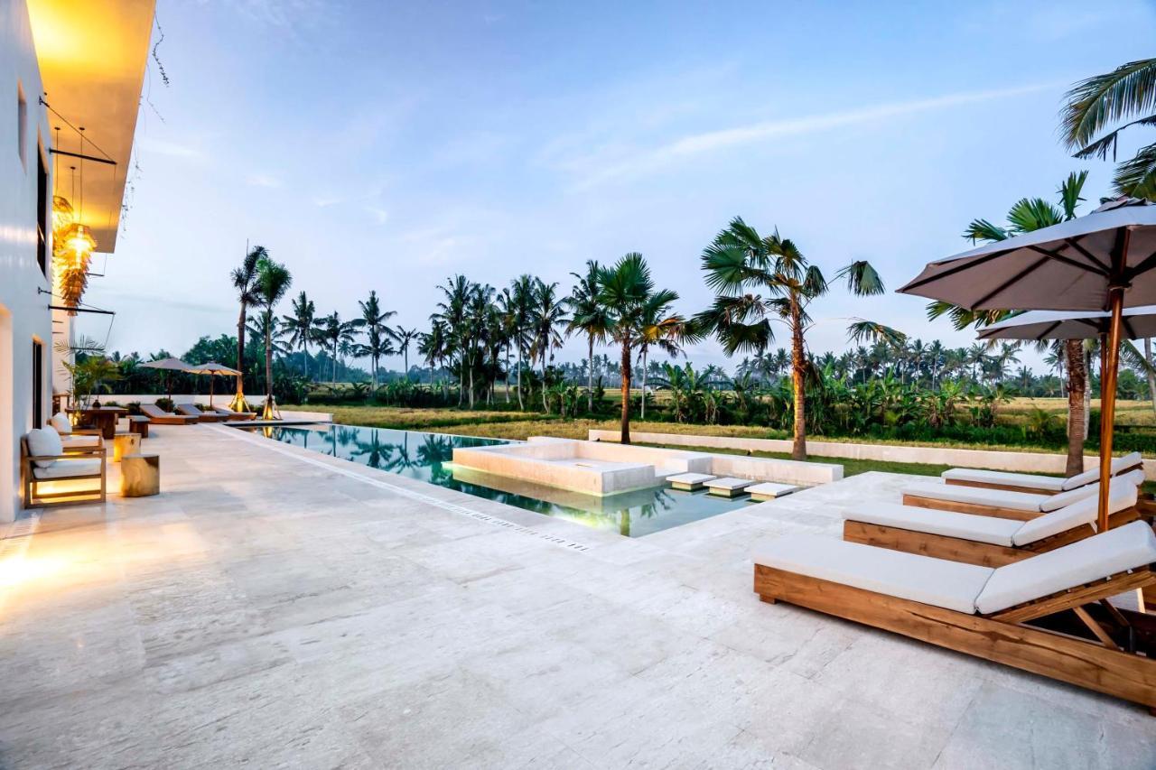 Villa Mushika By Balisuperhost Ubud Exteriér fotografie